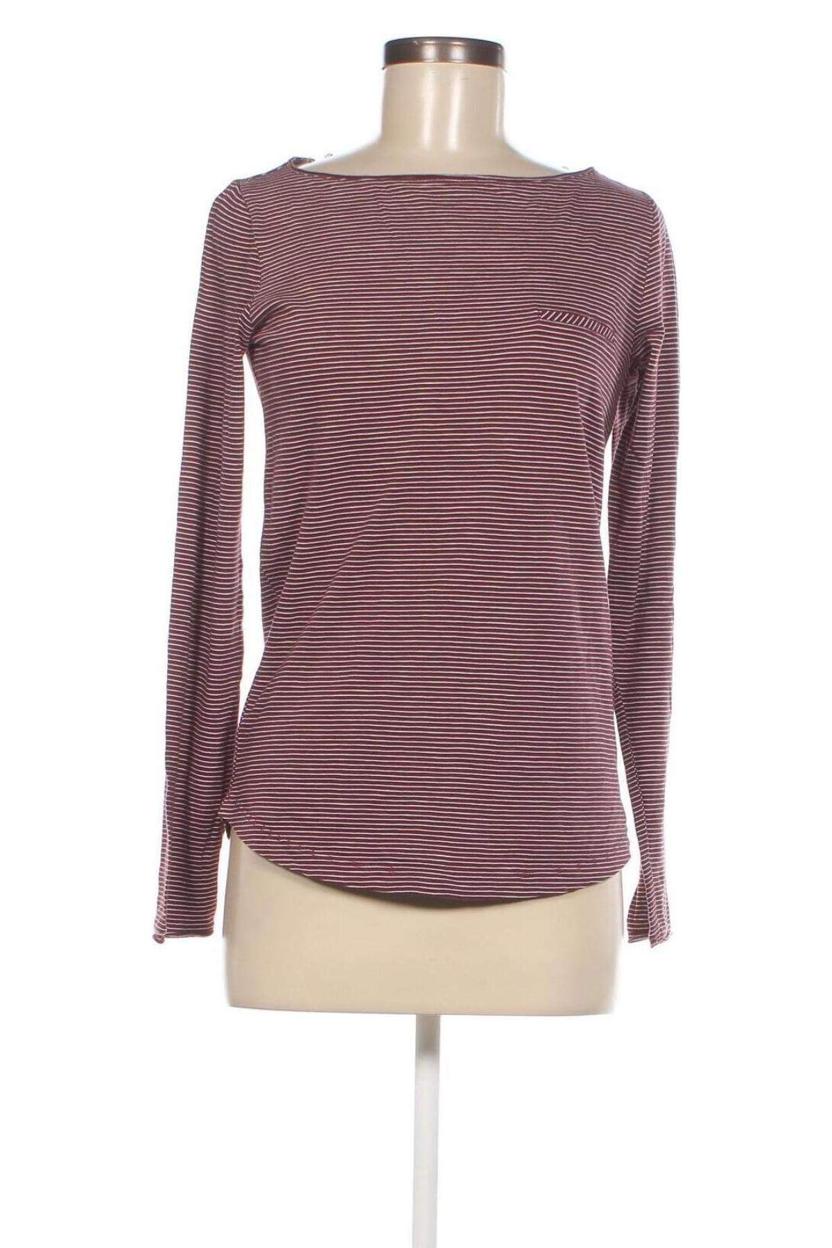 Γυναικεία μπλούζα S.Oliver, Μέγεθος M, Χρώμα Πολύχρωμο, Τιμή 37,11 €