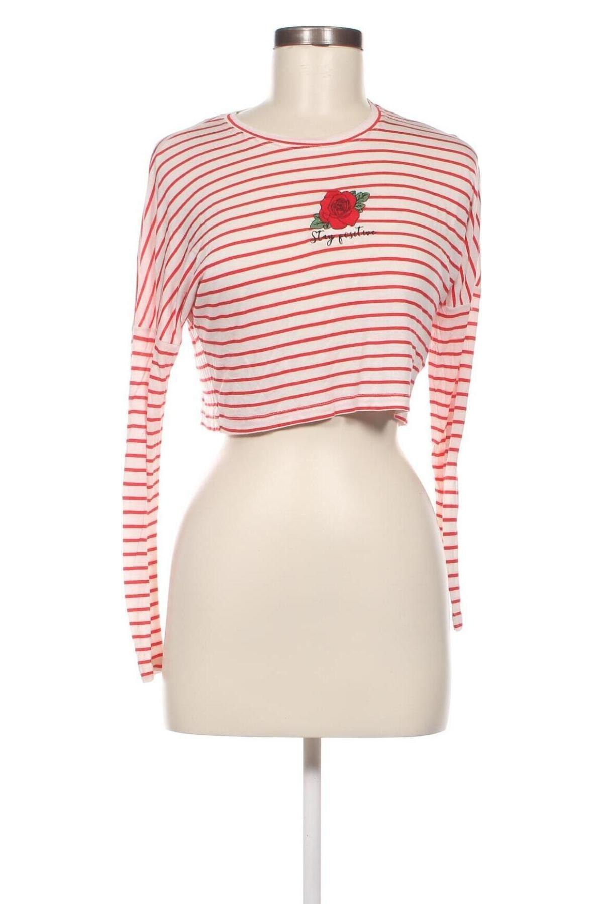 Γυναικεία μπλούζα Tally Weijl, Μέγεθος XS, Χρώμα Λευκό, Τιμή 3,52 €