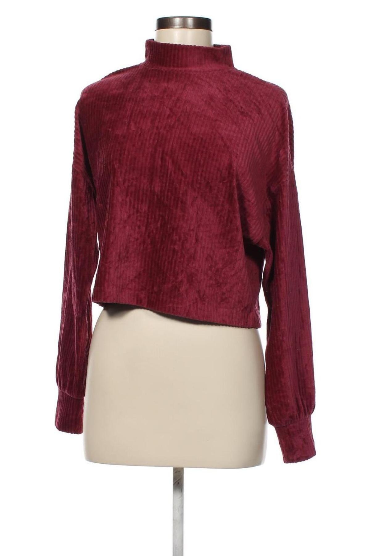 Γυναικεία μπλούζα Twik, Μέγεθος XS, Χρώμα Κόκκινο, Τιμή 3,88 €