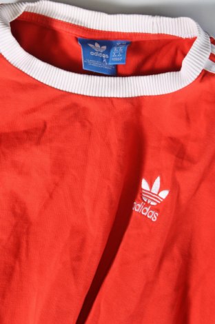 Damen Shirt Adidas, Größe XS, Farbe Rot, Preis € 17,36