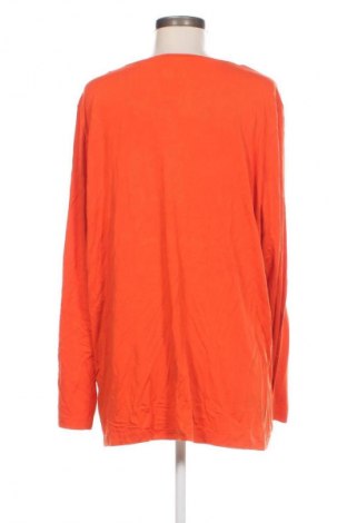 Damen Shirt Brandtex, Größe 3XL, Farbe Orange, Preis € 11,49