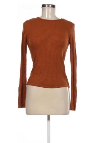 Damen Shirt Colloseum, Größe S, Farbe Braun, Preis € 3,99