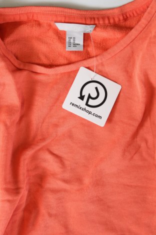 Damen Shirt H&M, Größe XS, Farbe Orange, Preis € 13,49