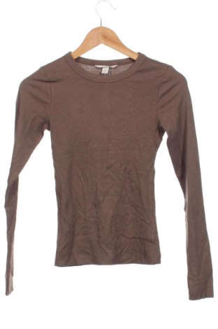 Damen Shirt H&M, Größe XS, Farbe Braun, Preis € 13,49