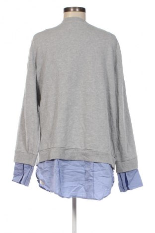 Damen Shirt Hampton Republic, Größe L, Farbe Grau, Preis 23,99 €