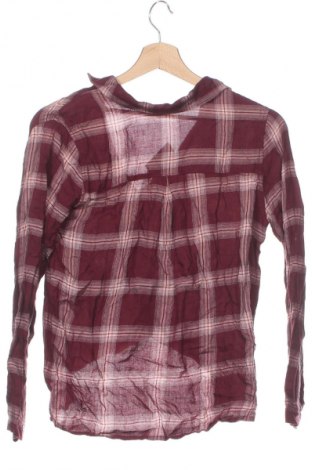 Damen Shirt Hollister, Größe XS, Farbe Rot, Preis 12,49 €