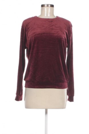 Damen Shirt Hunkemoller, Größe S, Farbe Rot, Preis € 23,99