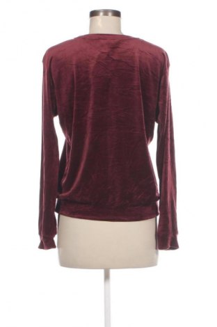 Damen Shirt Hunkemoller, Größe S, Farbe Rot, Preis € 10,99