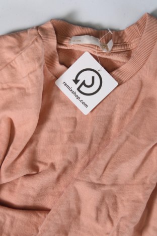 Damen Shirt Lager 157, Größe XS, Farbe Rosa, Preis 6,49 €