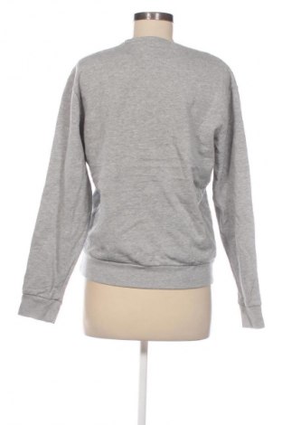 Damen Shirt MCS, Größe S, Farbe Grau, Preis 23,99 €