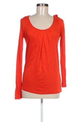 Damen Shirt Mexx, Größe S, Farbe Orange, Preis 5,99 €