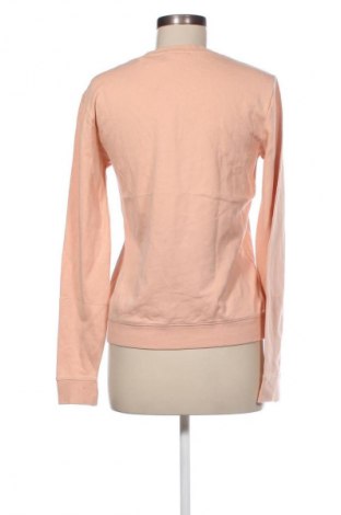 Damen Shirt Scotch & Soda, Größe L, Farbe Orange, Preis € 23,99