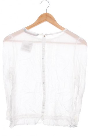 Damen Shirt Zara, Größe XS, Farbe Weiß, Preis 18,99 €