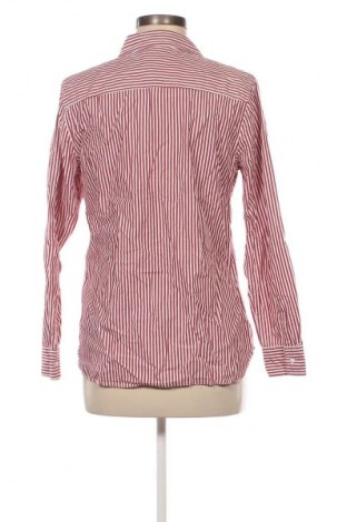 Damenbluse Gap, Größe M, Farbe Mehrfarbig, Preis 23,99 €