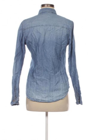 Damenbluse Hollister, Größe S, Farbe Blau, Preis 28,99 €