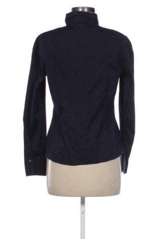 Damenbluse Massimo Dutti, Größe L, Farbe Blau, Preis € 38,49