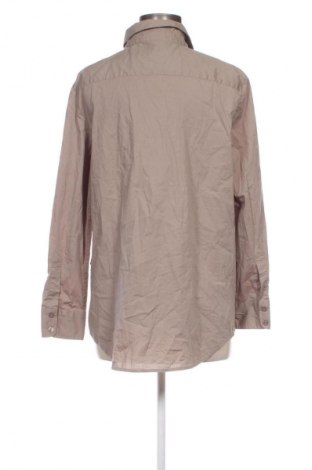 Damenbluse Peter Hahn, Größe XL, Farbe Beige, Preis € 17,99