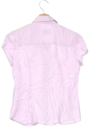 Damenbluse Zara, Größe XS, Farbe Rosa, Preis 18,99 €