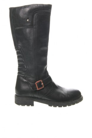 Damenstiefel Nero Giardini, Größe 36, Farbe Schwarz, Preis 95,99 €