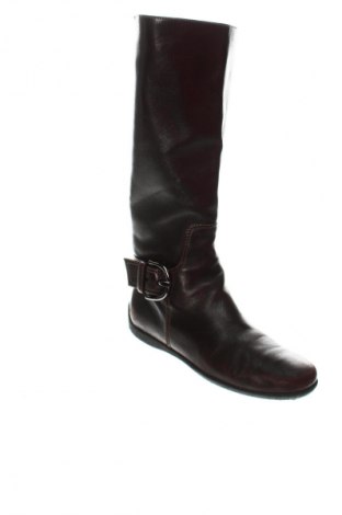 Damenstiefel Tod's, Größe 38, Farbe Braun, Preis € 193,99