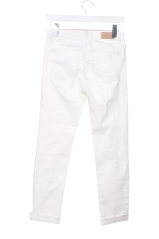 Damen Jeans Zara Trafaluc, Größe S, Farbe Weiß, Preis € 13,81