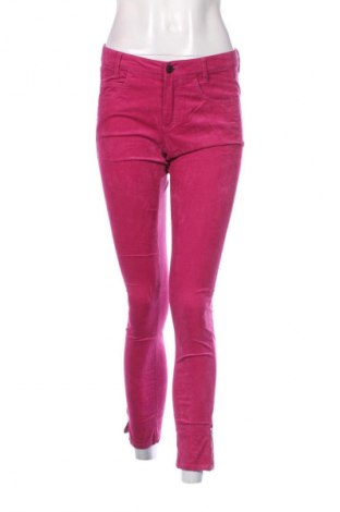 Damen Cordhose Cinque, Größe S, Farbe Rosa, Preis 47,99 €