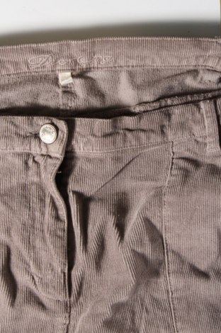 Pantaloni de velvet de femei Deerberg, Mărime XXL, Culoare Gri, Preț 173,47 Lei