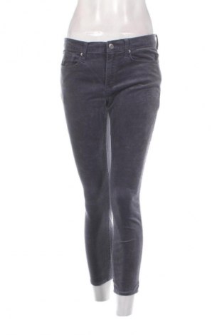 Pantaloni de velvet de femei Gap, Mărime M, Culoare Albastru, Preț 111,99 Lei