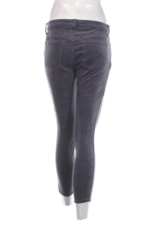 Pantaloni de velvet de femei Gap, Mărime M, Culoare Albastru, Preț 48,99 Lei