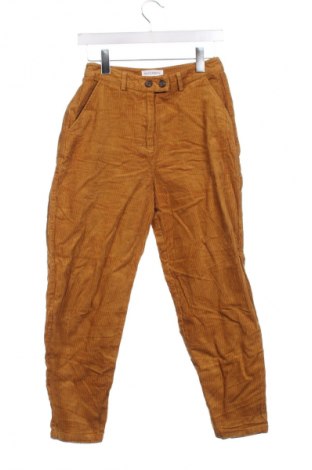 Pantaloni de velvet de femei Native Youth, Mărime XS, Culoare Galben, Preț 31,99 Lei