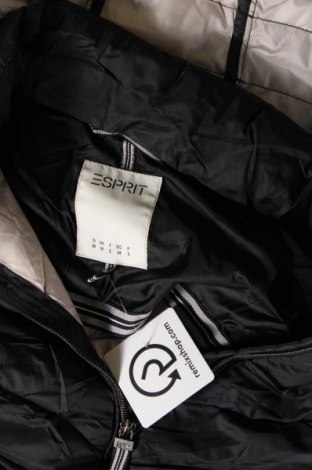 Damenweste Esprit, Größe M, Farbe Schwarz, Preis € 43,49