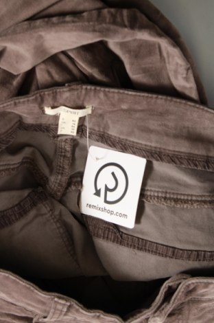 Pantaloni de femei Esprit, Mărime M, Culoare Maro, Preț 67,99 Lei