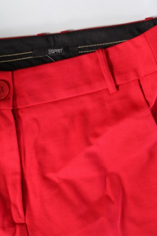 Damenhose Esprit, Größe M, Farbe Rot, Preis € 28,99