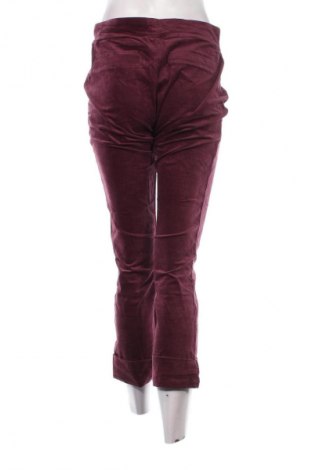 Damenhose Goldenpoint, Größe M, Farbe Aschrosa, Preis € 5,99