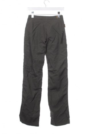 Damenhose Gotcha, Größe XS, Farbe Grün, Preis € 47,62