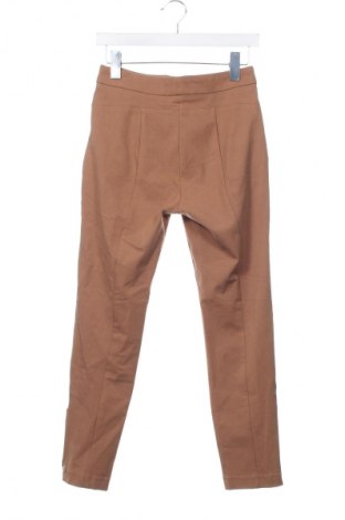 Damenhose Marks & Spencer, Größe S, Farbe Braun, Preis € 13,82