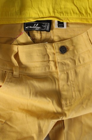 Damenhose Oakley, Größe M, Farbe Gelb, Preis € 71,65