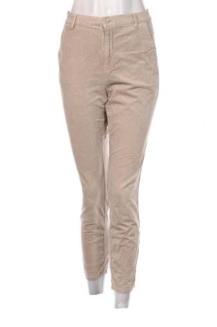 Damenhose Terre Bleue, Größe M, Farbe Beige, Preis € 8,99