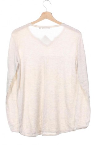 Damenpullover Vogel, Größe L, Farbe Beige, Preis 3,99 €