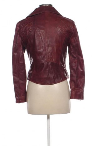 Damen Lederjacke, Größe S, Farbe Rot, Preis € 50,00