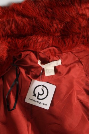 Damenmantel H&M, Größe S, Farbe Rot, Preis € 39,99