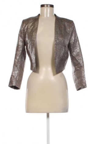 Damen Blazer H&M, Größe S, Farbe Silber, Preis 33,99 €