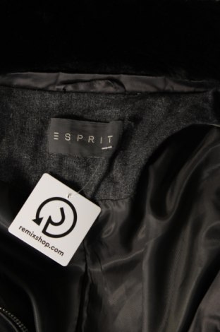 Damenjacke Esprit, Größe L, Farbe Grau, Preis € 45,54