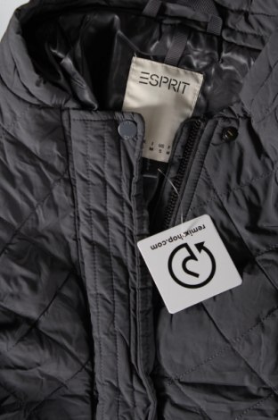 Damenjacke Esprit, Größe M, Farbe Grau, Preis 61,99 €