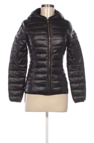 Damenjacke Fracomina, Größe XS, Farbe Schwarz, Preis € 61,99