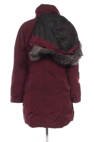 Damenjacke Superdry, Größe L, Farbe Rot, Preis 64,99 €