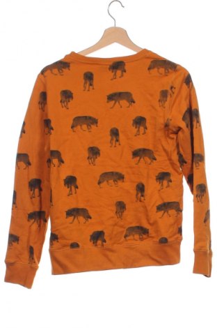 Kinder Shirt Jbc, Größe 13-14y/ 164-168 cm, Farbe Mehrfarbig, Preis 7,99 €