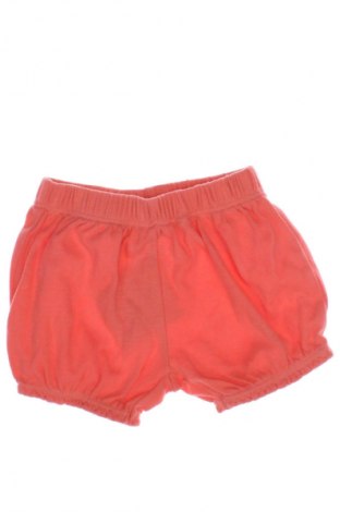 Kinder Shorts, Größe 6-9m/ 68-74 cm, Farbe Orange, Preis 7,12 €