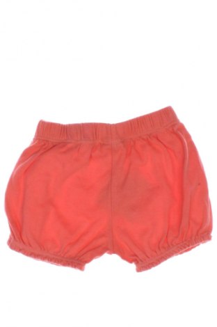 Kinder Shorts, Größe 6-9m/ 68-74 cm, Farbe Orange, Preis 7,12 €