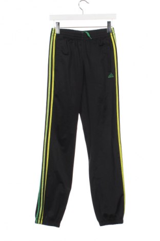 Pantaloni de trening, pentru copii Adidas, Mărime 15-18y/ 170-176 cm, Culoare Multicolor, Preț 69,99 Lei